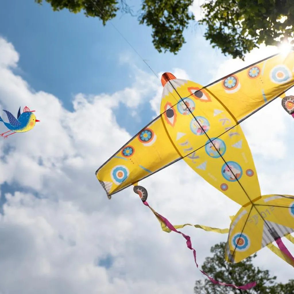 New Cerf-volant avion Maxi Plane Jeux D'Extérieur