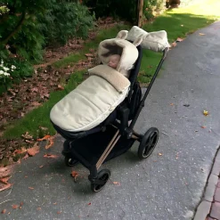 Kaiser Chancelière d'hiver Hau Kea sand shell