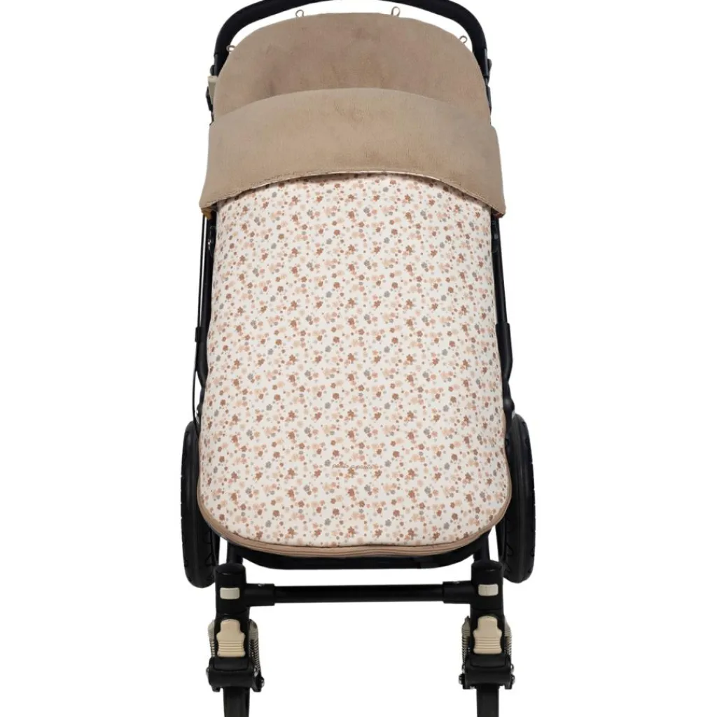 Pasito a pasito Chancelière hiver Somerset