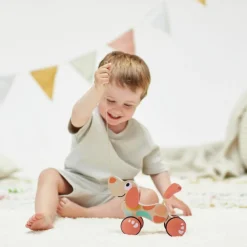 Best Chien Puppy édition limitée à tirer Jouet À Tirer / Pousser