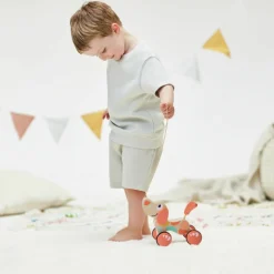 Best Chien Puppy édition limitée à tirer Jouet À Tirer / Pousser