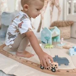 Jabadabado Circuit safari