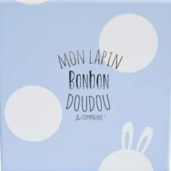 Hot Coffret chaussons hochet Mon tout petit lapin bleu (0-6 mois) Chaussons