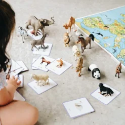 Best Coffret Giga Mondy (600 cartes Montessori pour développer le langage) Imagier