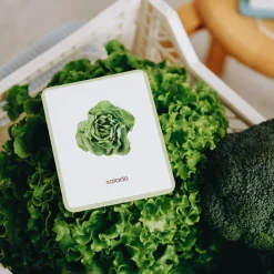 Online Coffret Mini Mondy (jeu de langage autour des fruits et légumes) Apprentissage Du Temps Et Quotidien