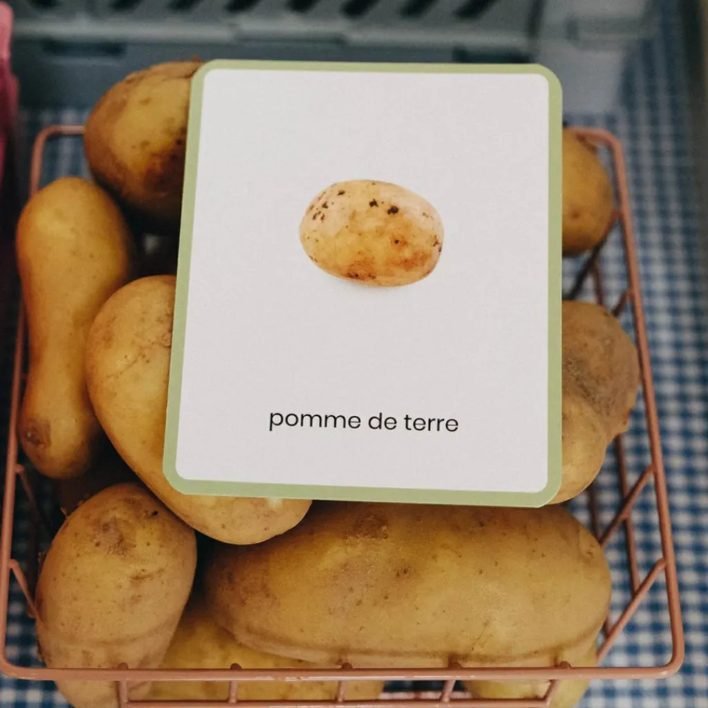 Online Coffret Mini Mondy (jeu de langage autour des fruits et légumes) Apprentissage Du Temps Et Quotidien