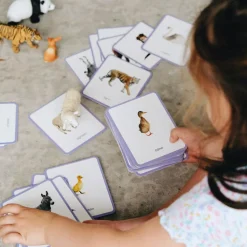 Observe Édition Coffret Mini Mondy (jeu de langage autour des animaux)