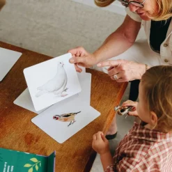 Clearance Coffret Mondy des Curieux (45 cartes de langage bilingues sur le thème de la nature) Apprentissage Du Temps Et Quotidien
