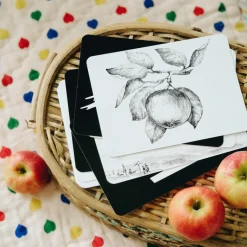 Online Coffret Mondy des P'tits Artistes (20 cartes constratées en noir & blanc) Apprentissage Du Temps Et Quotidien