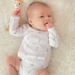 Sophie la girafe Coffret So'pure hochet + sucette de dentition