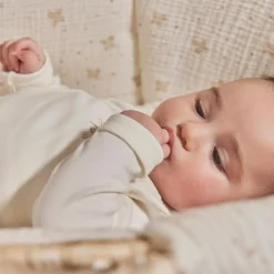 Combelle Couffin souple en osier Douce hirondelle écru