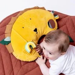 Trixie Coussin d'activités Mr. Lion