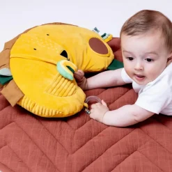 Trixie Coussin d'activités Mr. Lion
