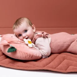 Trixie Coussin d'activités Mrs. Cat