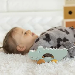 Trois Kilos Sept Crocodile en bois à tirer