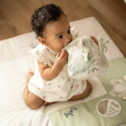 Hot Cube d'activités Animals Laurel Balle / Cube D'Activités