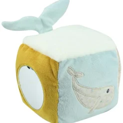 Trois Kilos Sept Cube d'activités Au Large de Nova