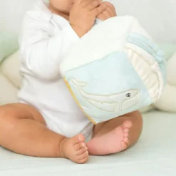 Trois Kilos Sept Cube d'activités Au Large de Nova