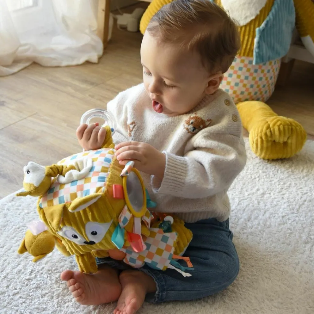 Les Déglingos Cube d'activités Cyranos le Renard