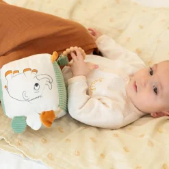 Trois Kilos Sept Cube d'activités Diplododo