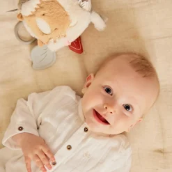 Best Cube d'activités Fluffy Orso et Lily Balle / Cube D'Activités