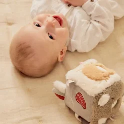 Best Cube d'activités Fluffy Orso et Lily Balle / Cube D'Activités