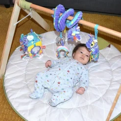 Les Déglingos Cube d'activités Kiprokos le zèbre