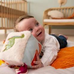 Little Big Friends Cube d'éveil Les Amis Dinos