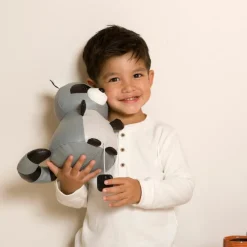 Discount Denver le Raton laveur musical Peluche Musicale