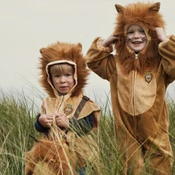 Outlet Déguisement de lion (4 ans) Enfant Déguisement Enfant