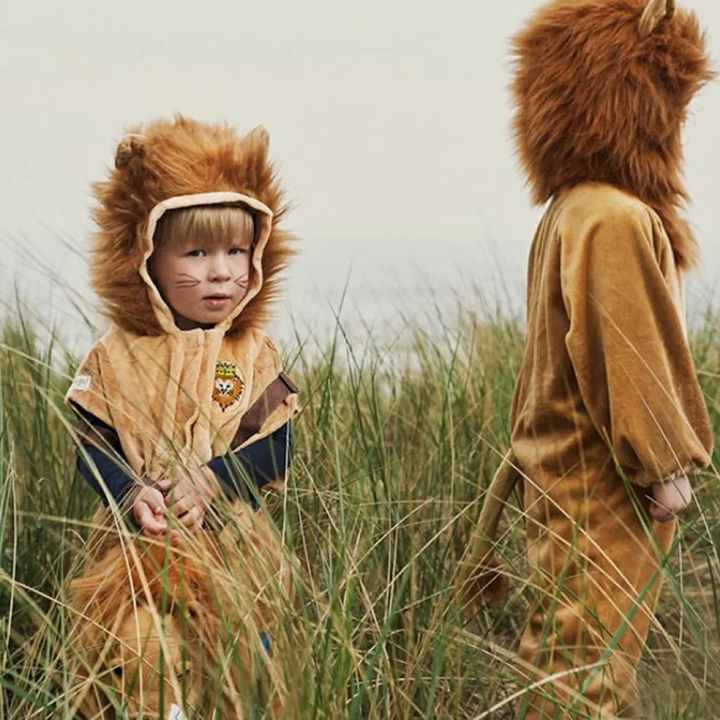 New Déguisement de lion (2 ans) Enfant Déguisement Enfant