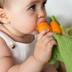 Sale Doudou de dentition 2 en 1 Cathy la carotte Doudou Plat