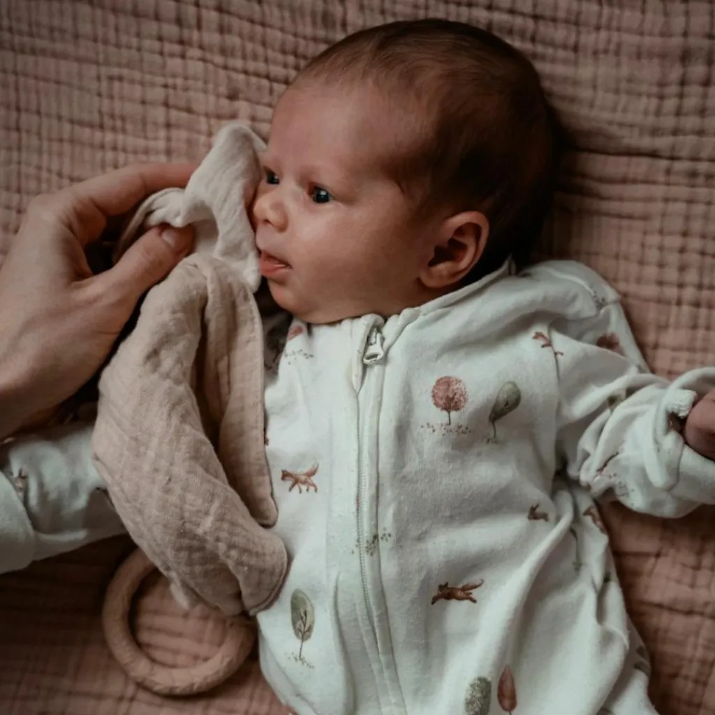 Natruba Doudou de dentition Leaf Cream