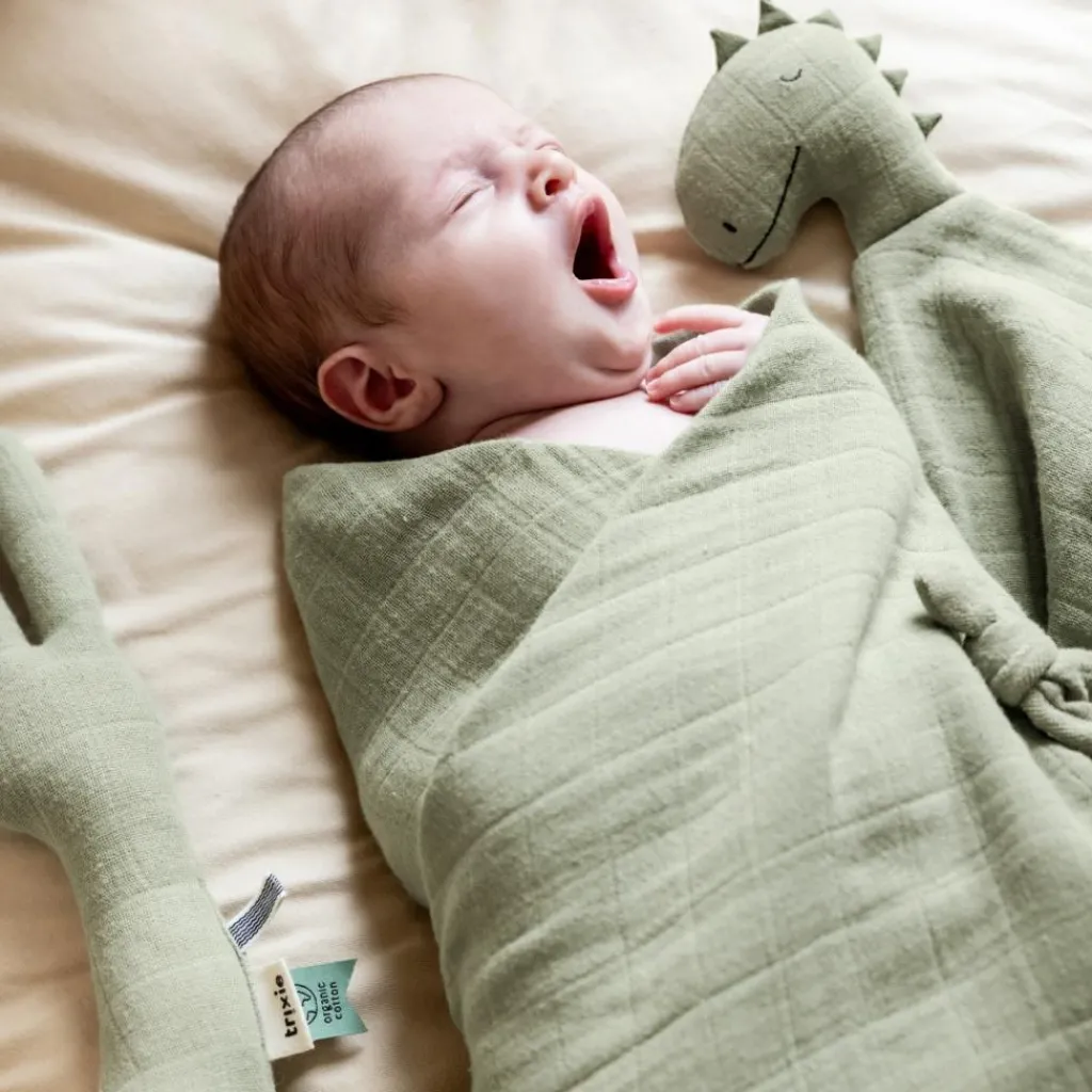 Trixie Doudou plat Bliss Sage Mr. Dino