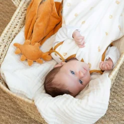 Trois Kilos Sept Doudou plat Diplododo