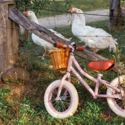 Banwood Draisienne First Go Dusty Pink