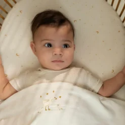 Little Dutch Drap housse de berceau Little Goose (70 x 100 cm)