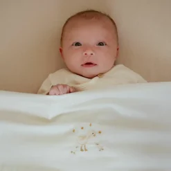 Little Dutch Drap housse de berceau Little Goose (70 x 100 cm)