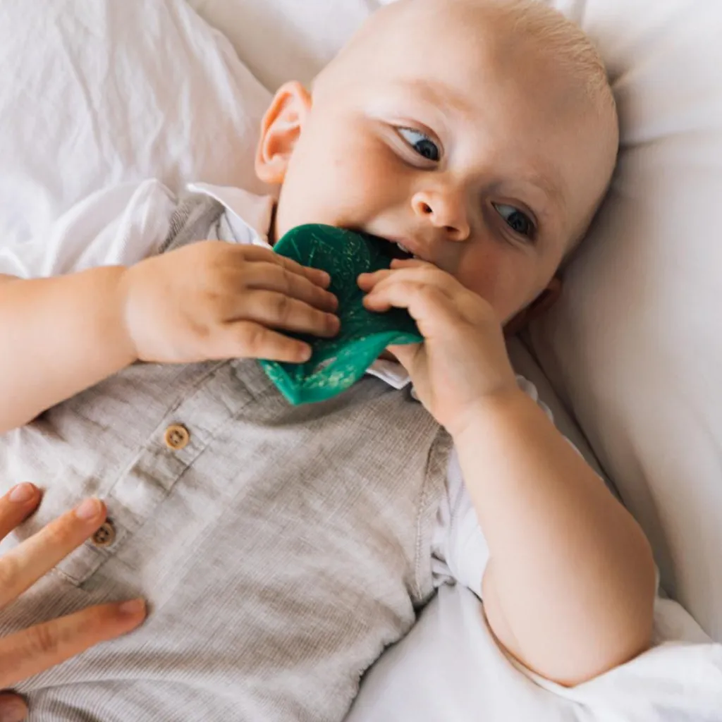 Sale Feuille de Chlorophylle jouet de dentition Jouet / Anneau De Dentition