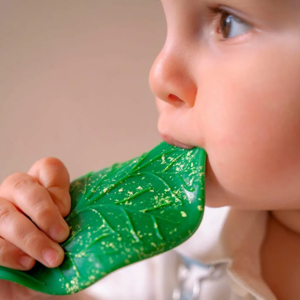 Sale Feuille de Chlorophylle jouet de dentition Jouet / Anneau De Dentition