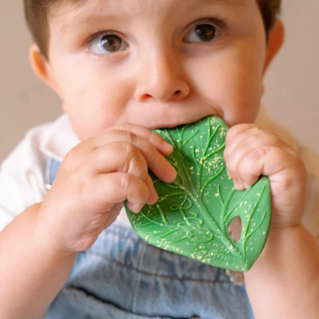 Sale Feuille de Chlorophylle jouet de dentition Jouet / Anneau De Dentition