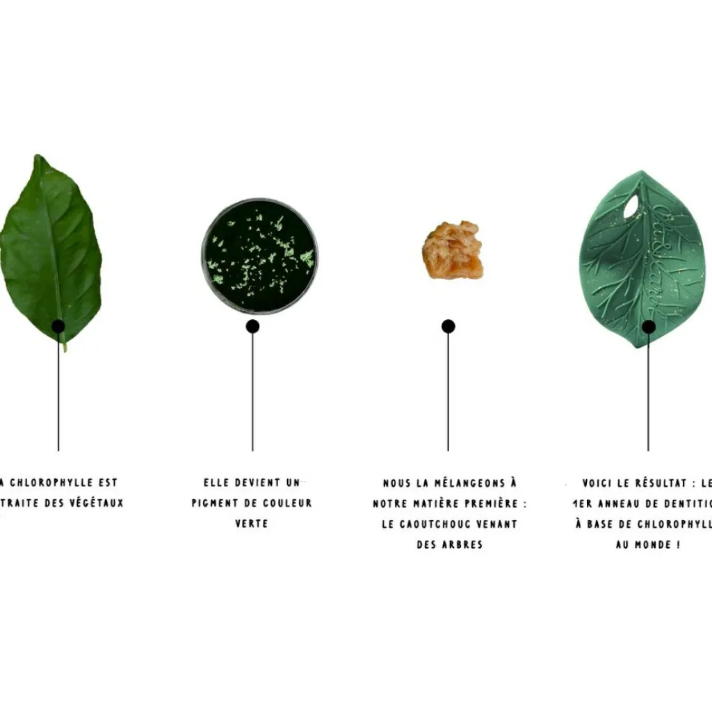 Sale Feuille de Chlorophylle jouet de dentition Jouet / Anneau De Dentition