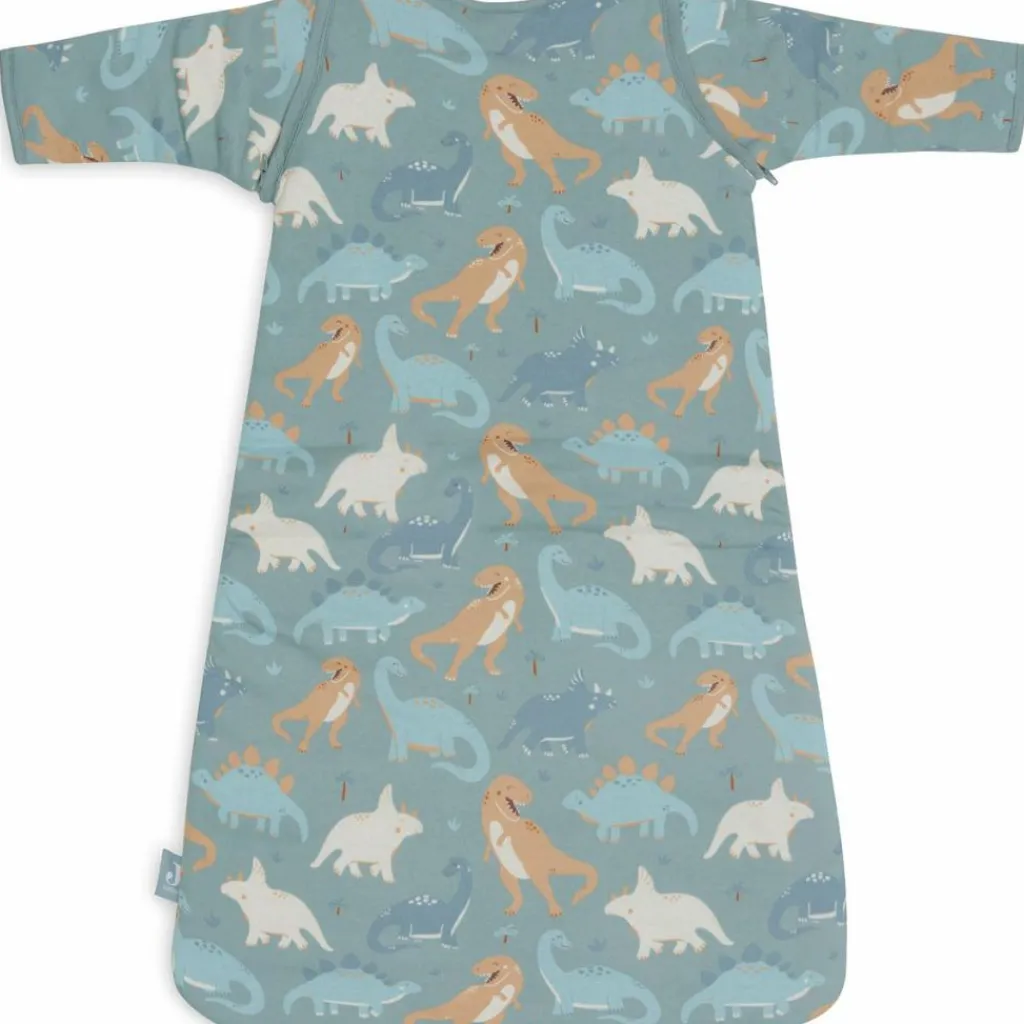 Best Gigoteuse à manches amovibles Roarsome (3-6 mois) Gigoteuse Hiver