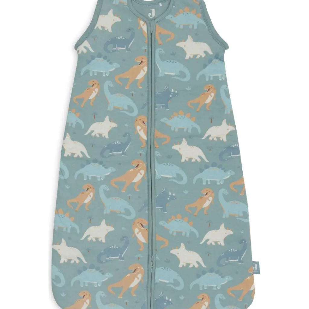 Best Gigoteuse à manches amovibles Roarsome (3-6 mois) Gigoteuse Hiver