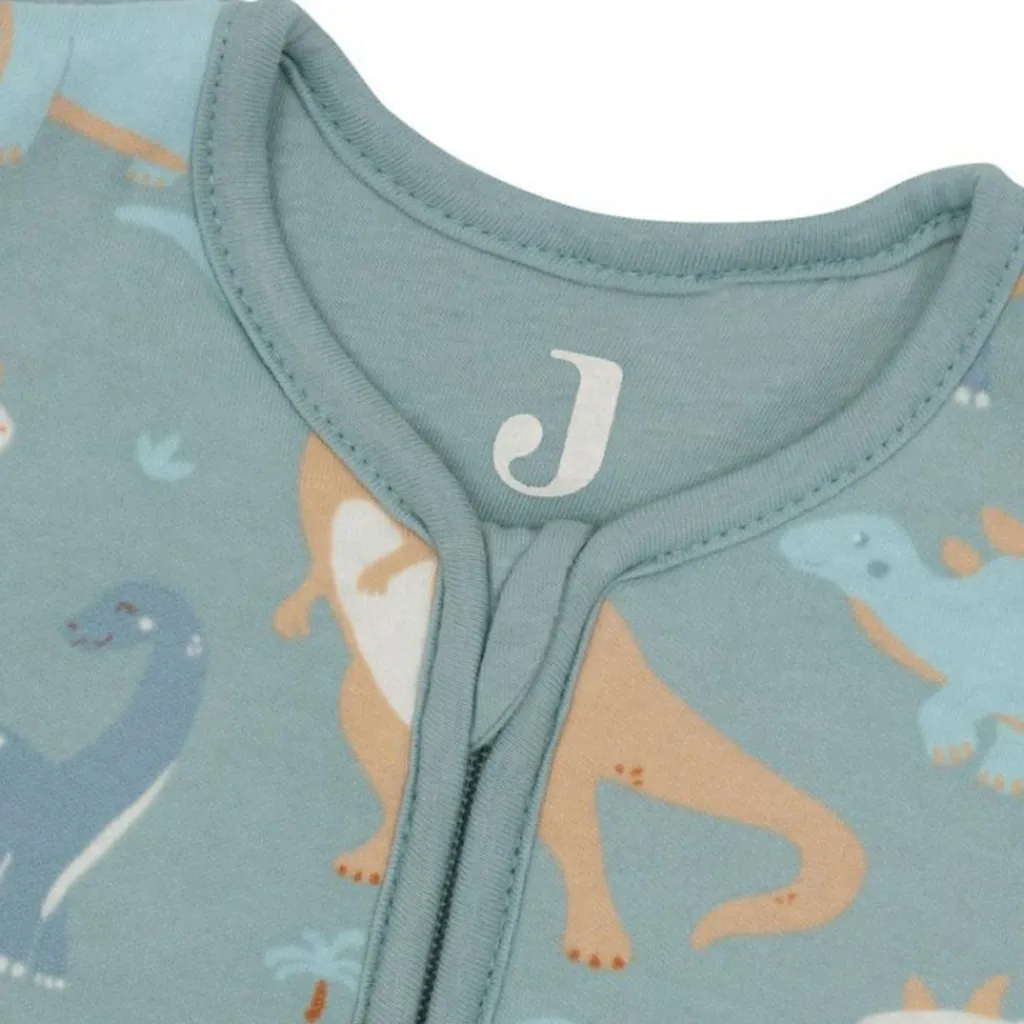 Best Gigoteuse à manches amovibles Roarsome (3-6 mois) Gigoteuse Hiver