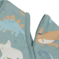 Best Gigoteuse à manches amovibles Roarsome (3-6 mois) Gigoteuse Hiver