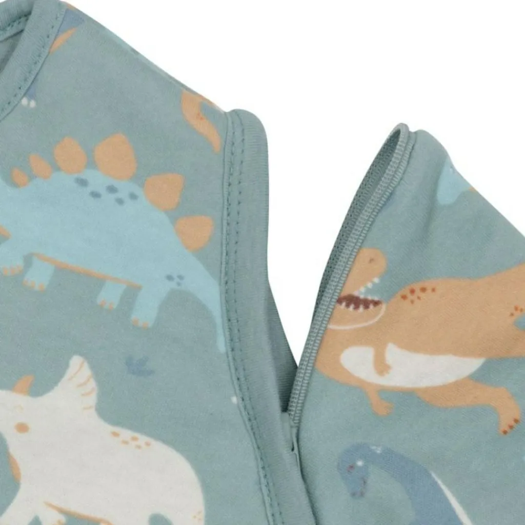 Best Gigoteuse à manches amovibles Roarsome (3-6 mois) Gigoteuse Hiver