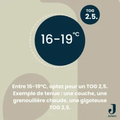 Online Gigoteuse à manches amovibles Rosehip TOG 2-3 (18-24 mois) Gigoteuse Hiver