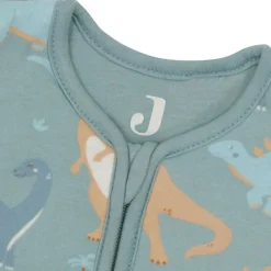 Clearance Gigoteuse à manches amovibles Roarsome (18-24 mois) Gigoteuse Hiver