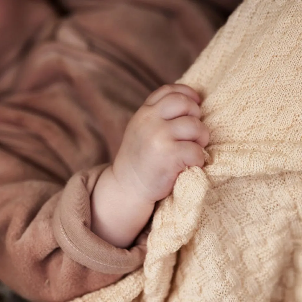 Jollein Gigoteuse à manches amovibles Velvet Wild Rose TOG 2-3 (3-6 mois)